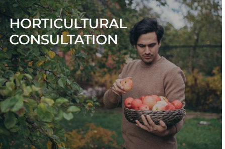Grow Your Own Edible Oasis